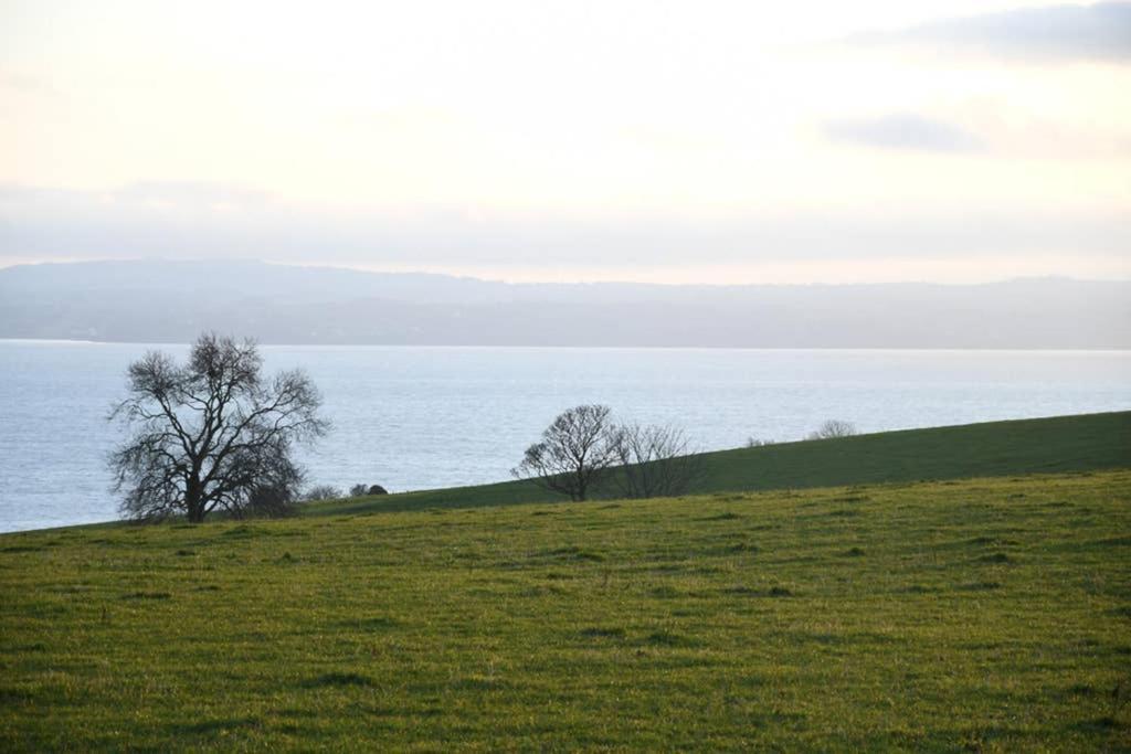 Whitehead Holiday Cottage المظهر الخارجي الصورة